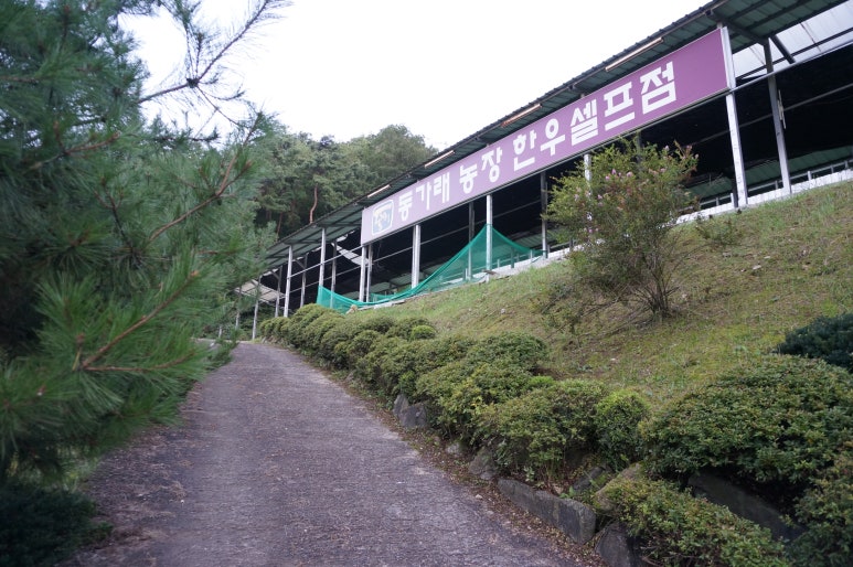 동가래 이미지