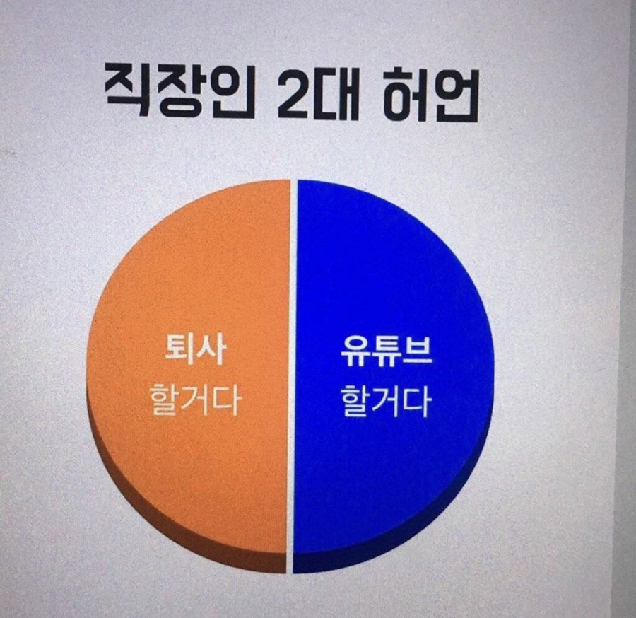 돈토 이미지