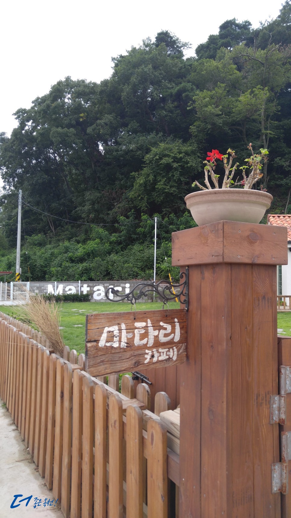카페마타리 이미지