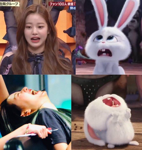 바라 이미지