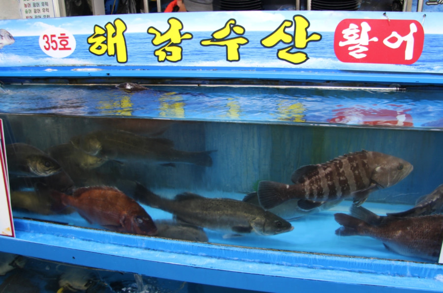 소래포구해남수산 이미지