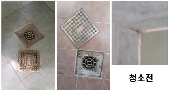 푸른숲청소 이미지
