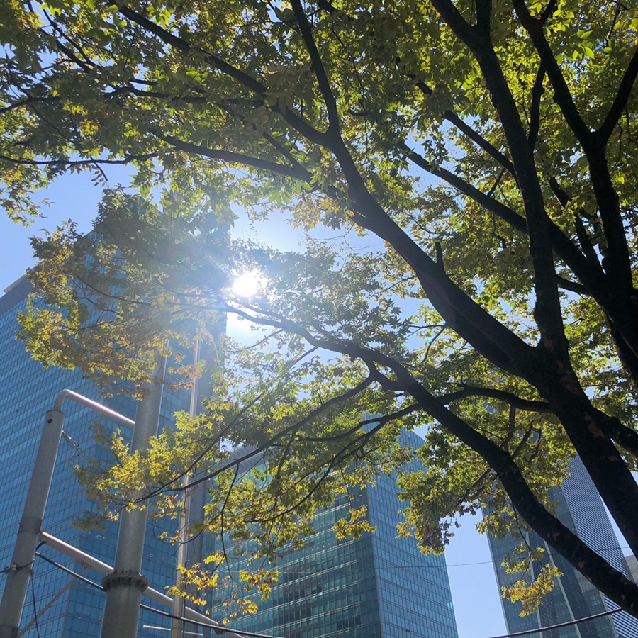 크런치데이 이미지