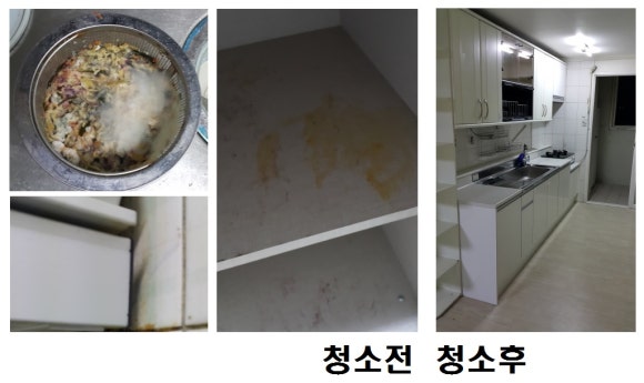 푸른숲청소 이미지