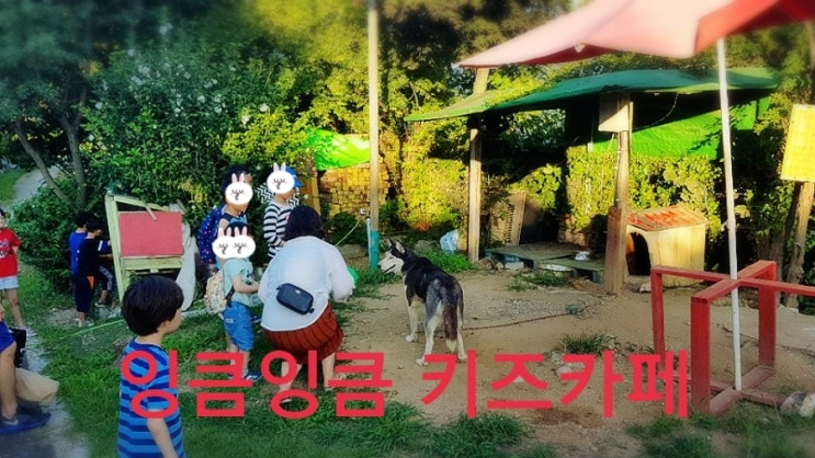 뉴강서양천키즈 이미지