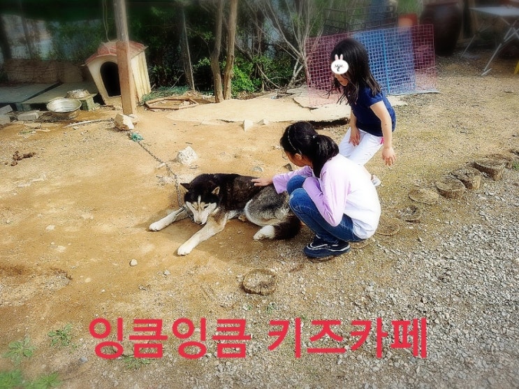 뉴강서양천키즈 이미지