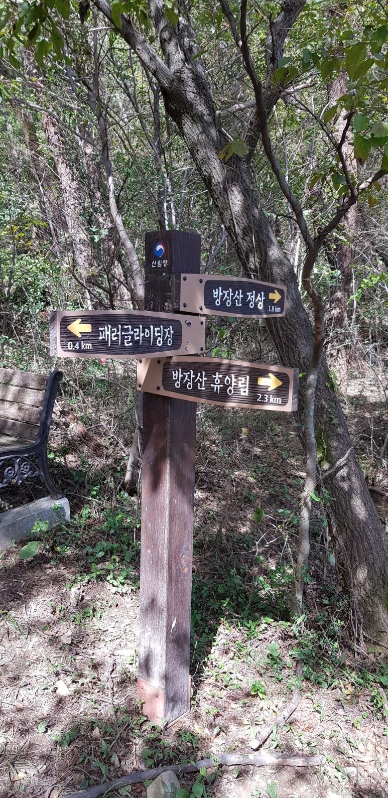 메타패러글라이딩 이미지