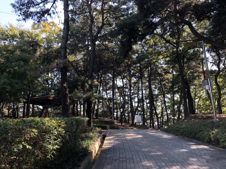 풍년골 이미지