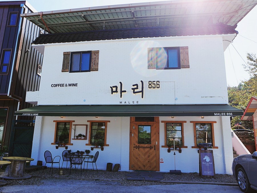 마리856 이미지