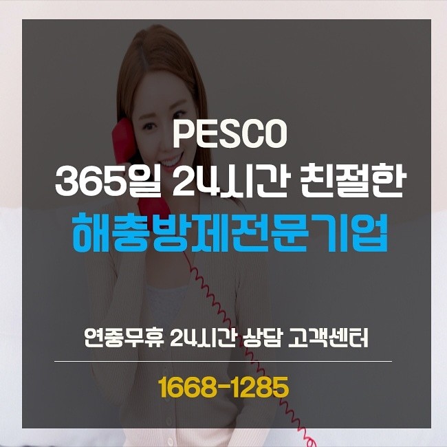 페스코 이미지