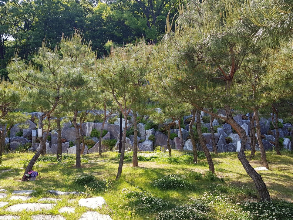 분당수목장 이미지