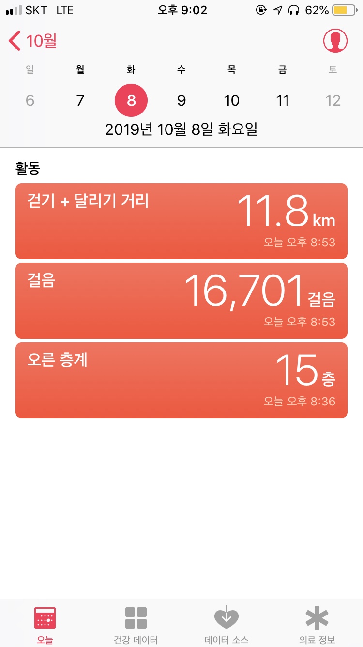 도안반점 이미지