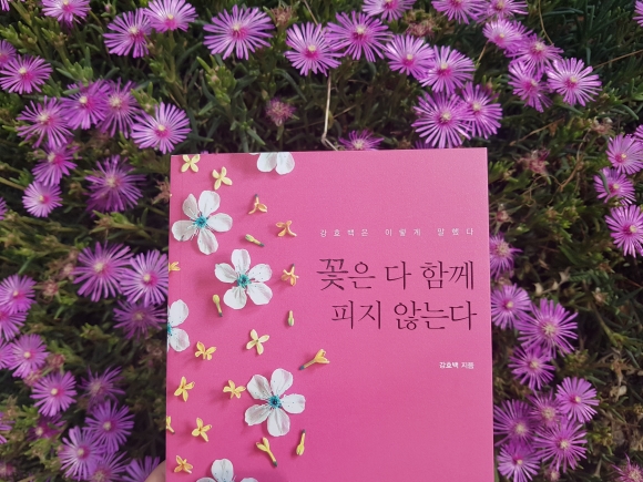 소양이네 이미지