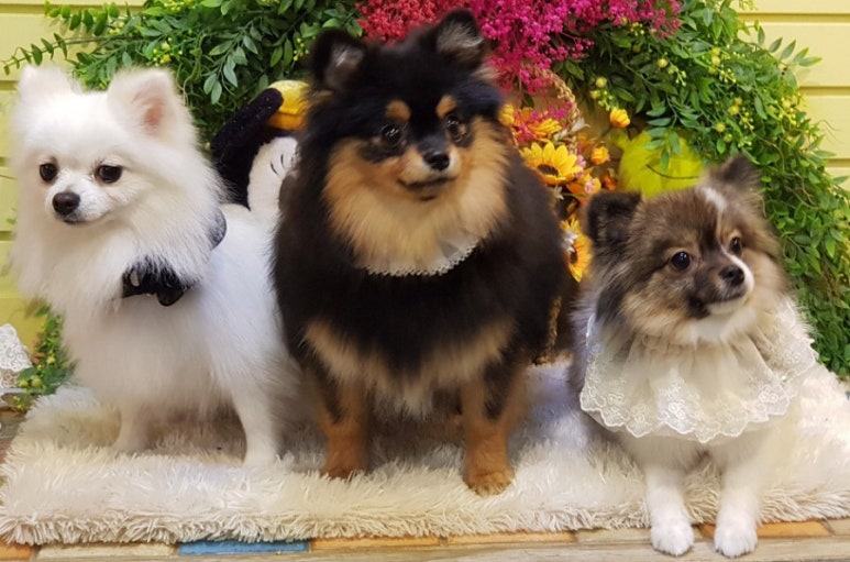 예뻐져라피부관리샵 이미지
