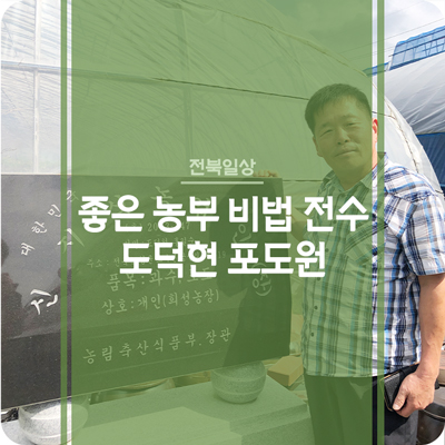 싱싱포도원 이미지