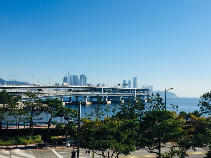 토요코인 울산삼산동 이미지