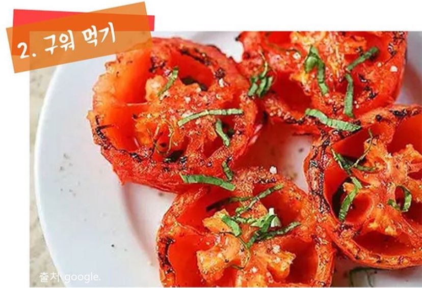 토마토휘트니스 이미지