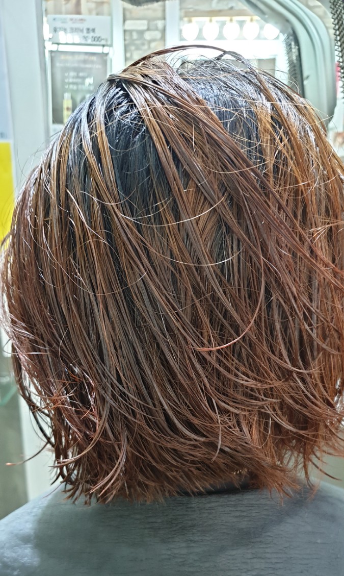 레지나미용실 이미지