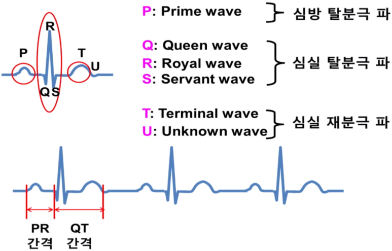 ekg