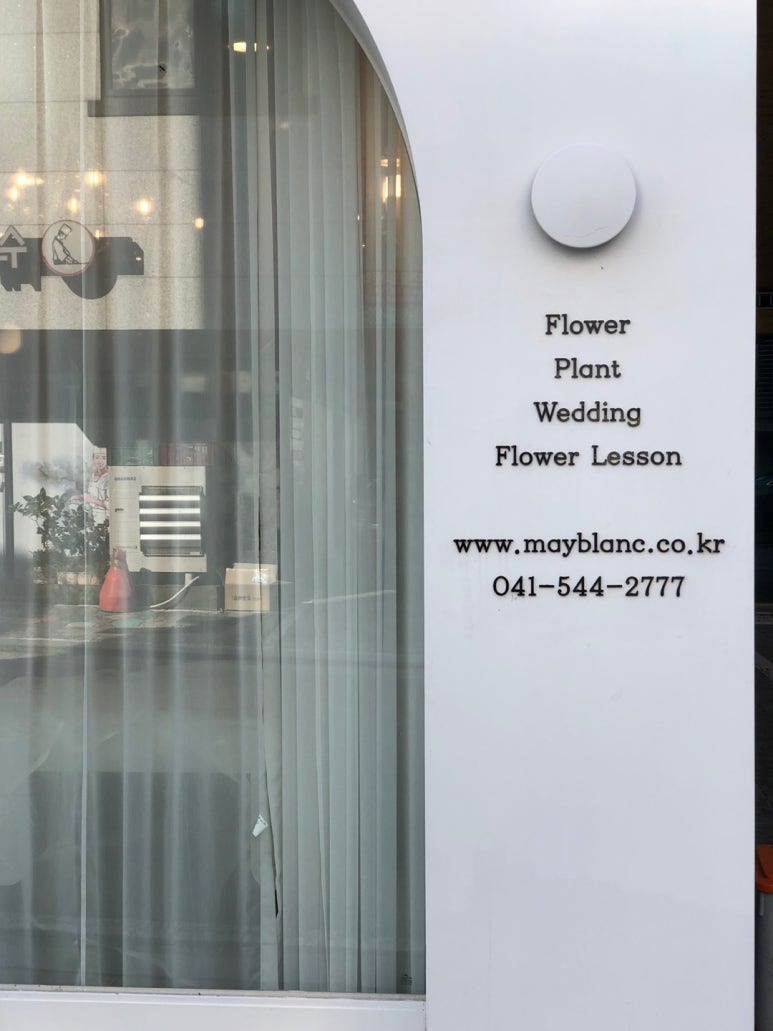 블랑메이 이미지
