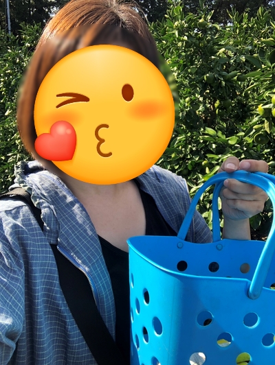 아연네감귤체험농장 이미지