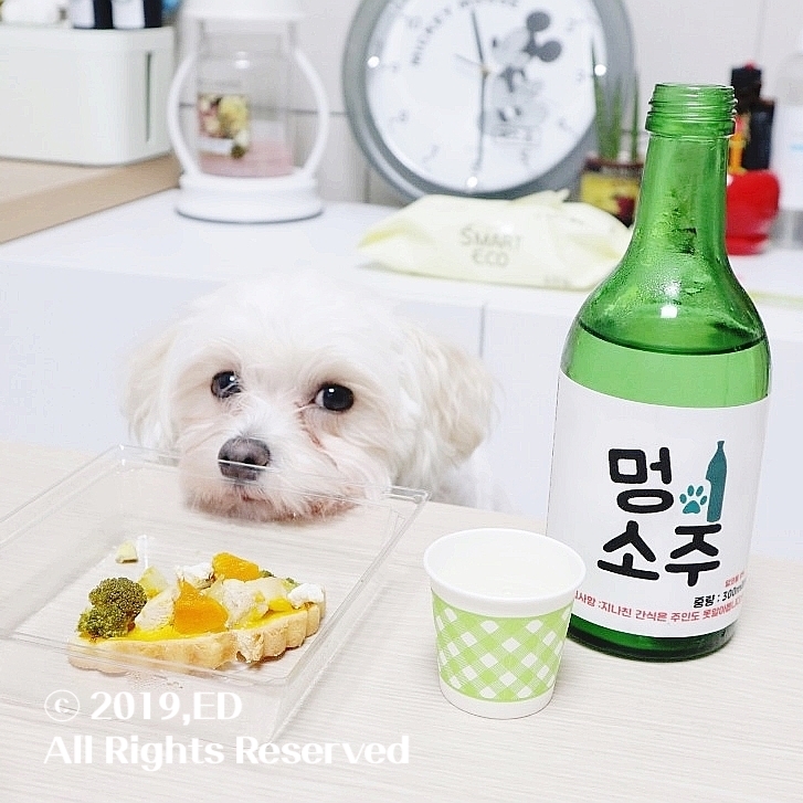 피쏘 이미지
