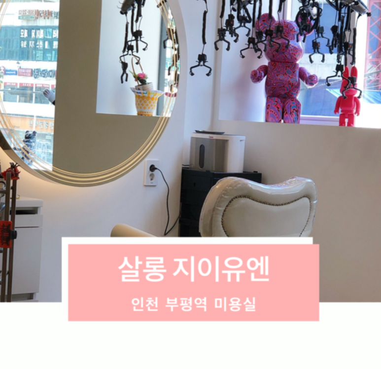 살롱 지이유엔 이미지