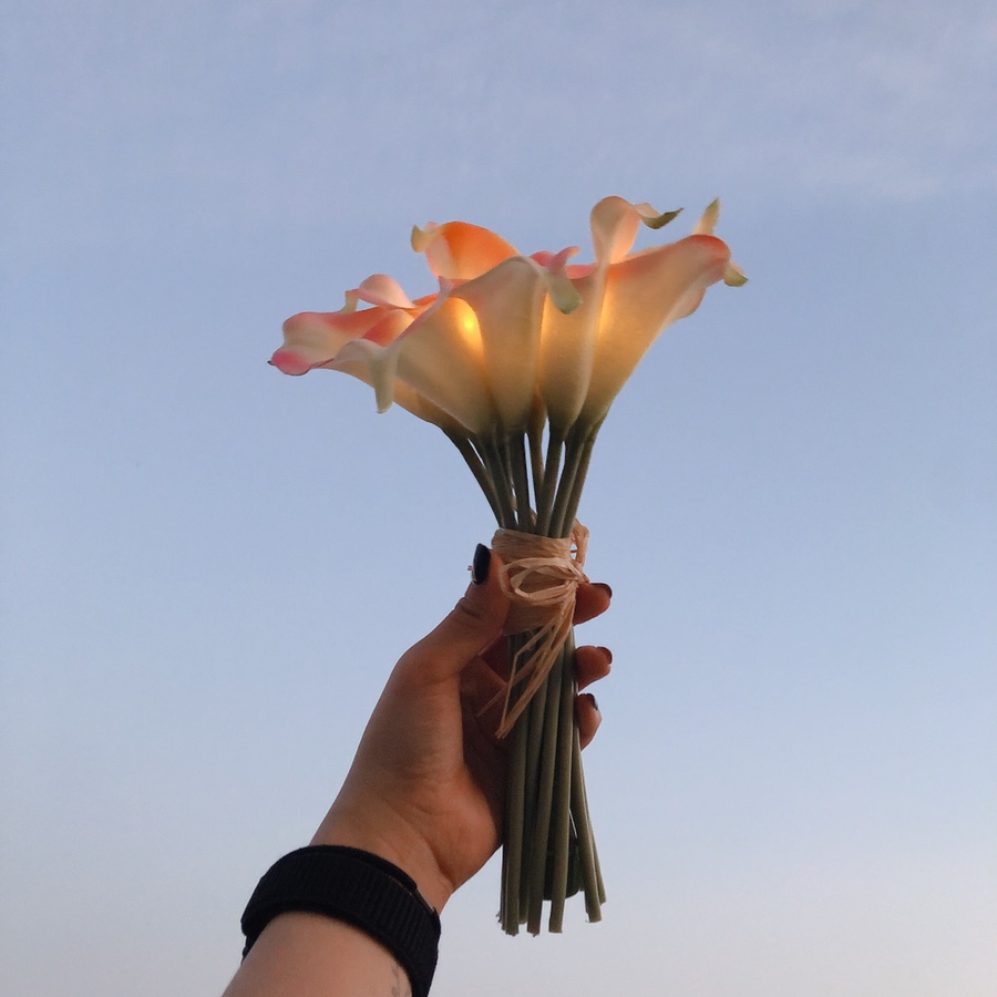 촌애정원 이미지
