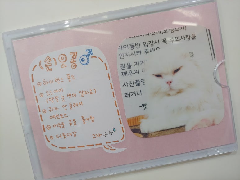 고양이별캣카페 이미지