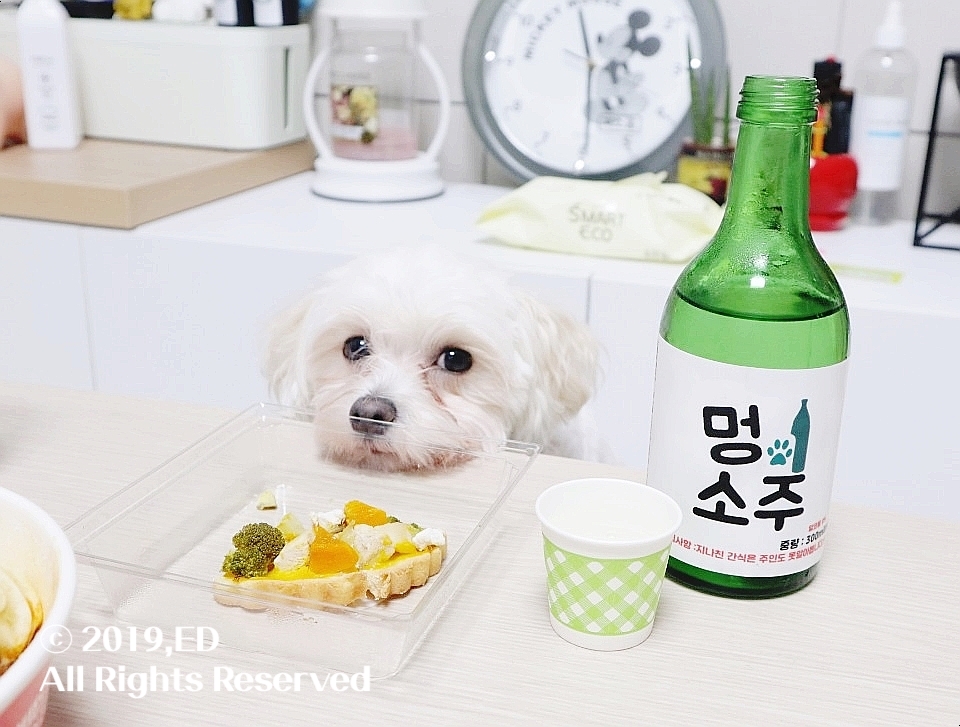 피쏘 이미지