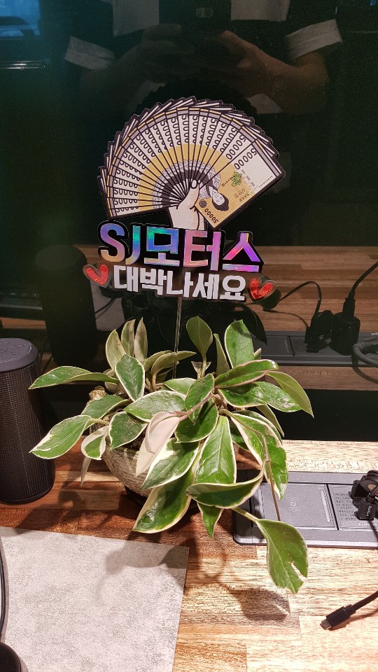 에스제이모터스 이미지