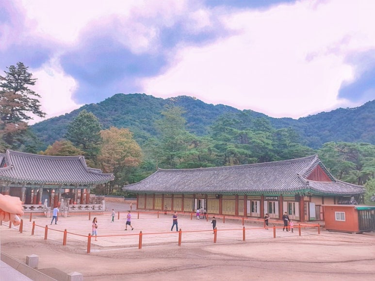 달의정원 이미지