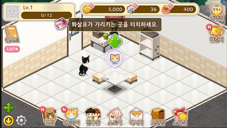 고양이다방 이미지