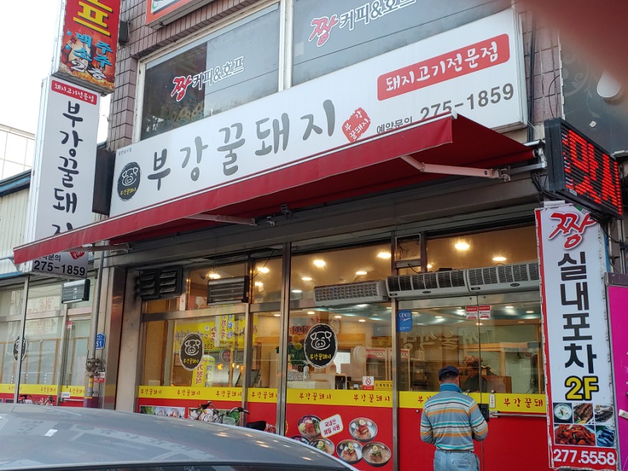 부강 꿀돼지 이미지