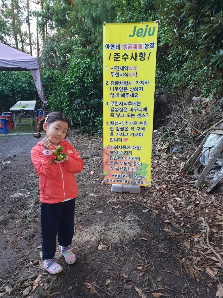 아연네감귤체험농장 이미지