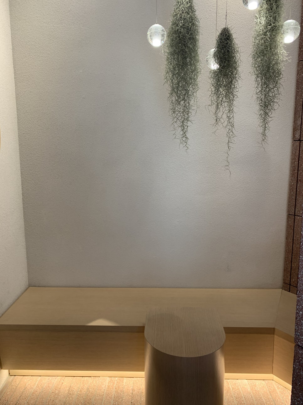 코르테 이미지