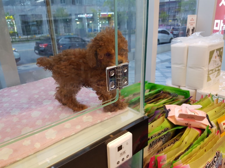 세종마트 이미지