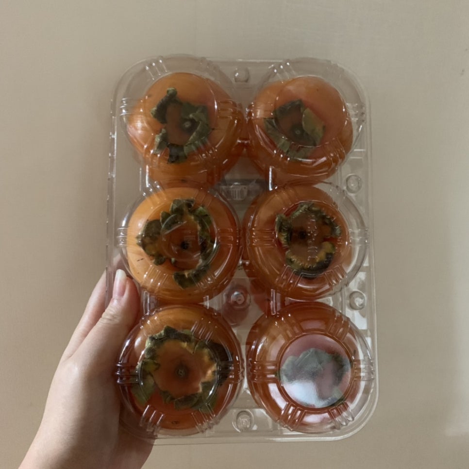 광어촌 이미지