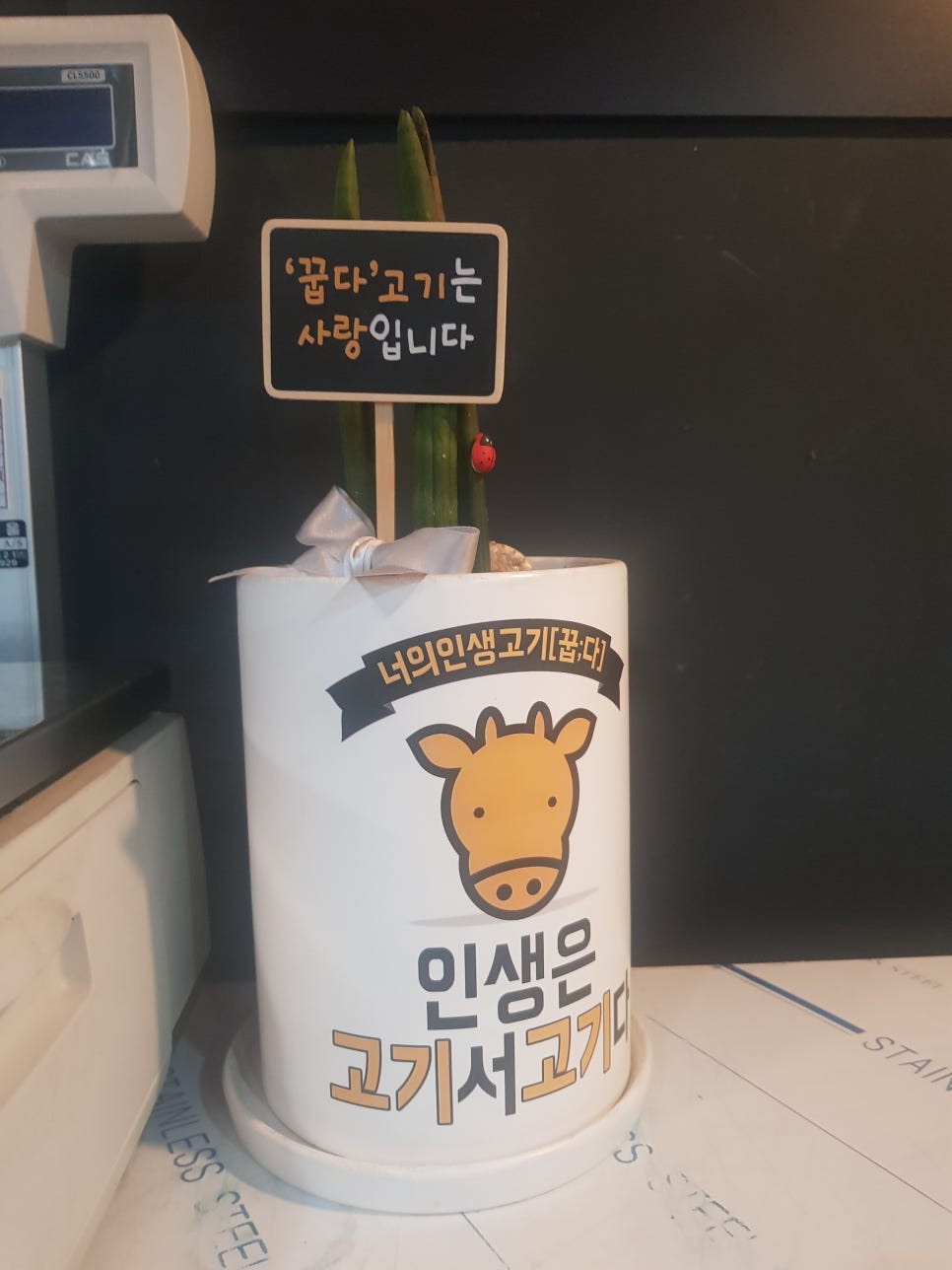 고기꿉다 이미지