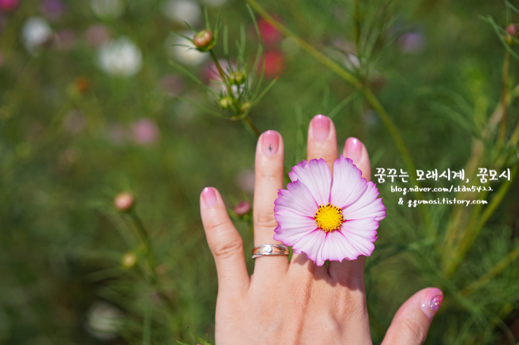 신데렐라네일샵 이미지