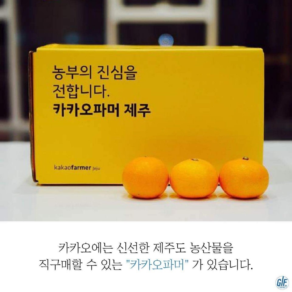 카카오농산물 이미지
