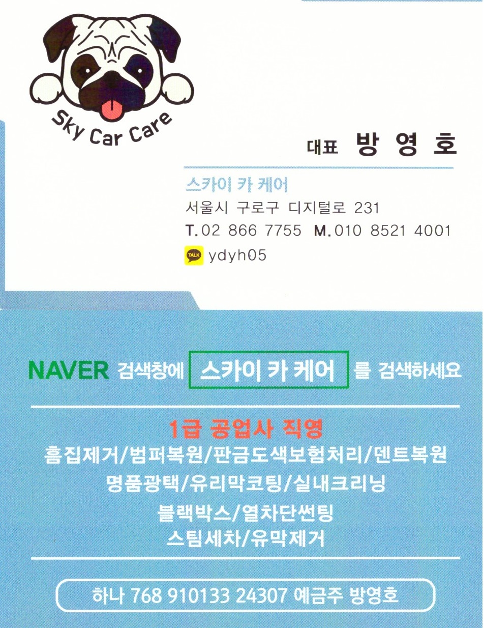 스카이카서비스 이미지