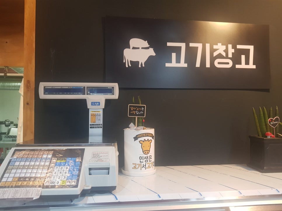 고기꿉다 이미지