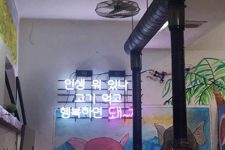 행복하면돼지 이미지