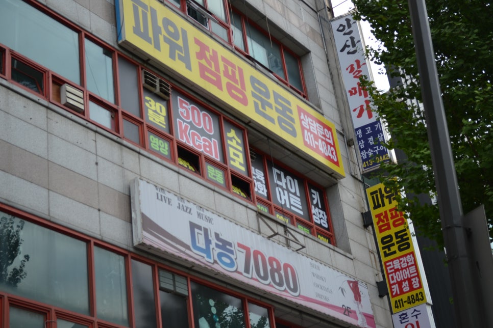 파워점핑다이어트 이미지