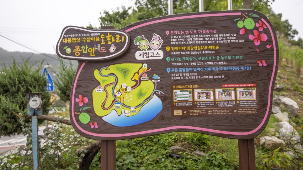 도화리마을 이미지