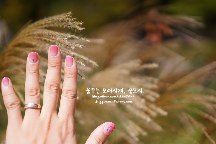 신데렐라네일샵 이미지