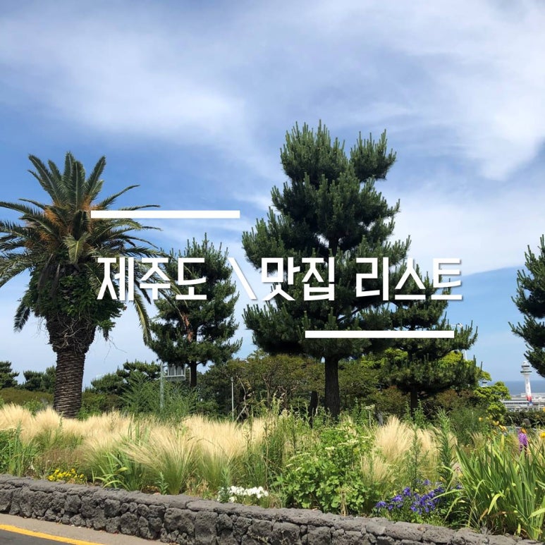 팔팔돼지(88돼지) 이미지