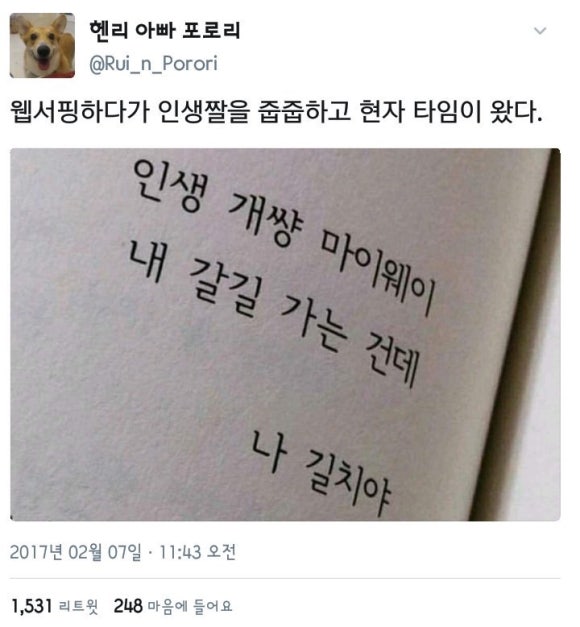 라베이크 이미지