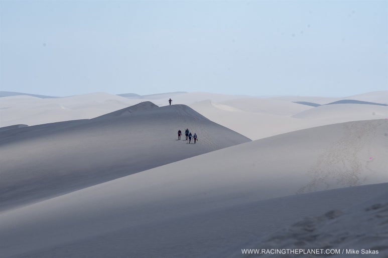 나미브(NAMIB) 이미지
